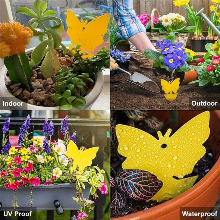 Faicuk 20-Pack Dual-Sided Yellow Sticky Traps For Flying Plant Insect Like Fungus Gnats, Aphids, Whiteflies, Leafminers - (6x8 Inches, Twist Ties Included)